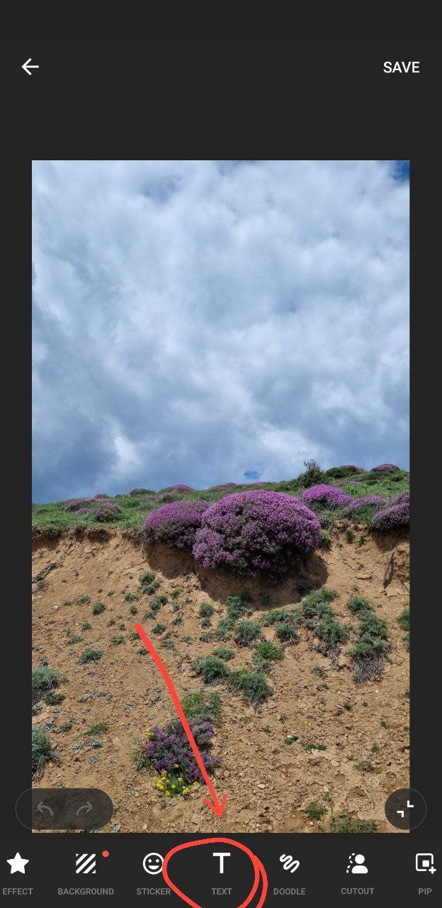 انتخاب حالت نوشتاری