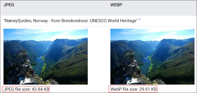 مقایسه حجم فایل JPEG و WebP