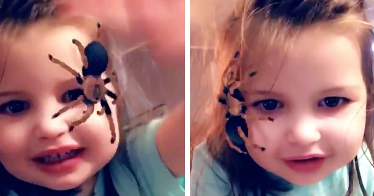 فیلتر Spider On Face
