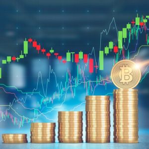 سرمایه گذاری روی بیت کوین و سایر ارزهای دیجیتال