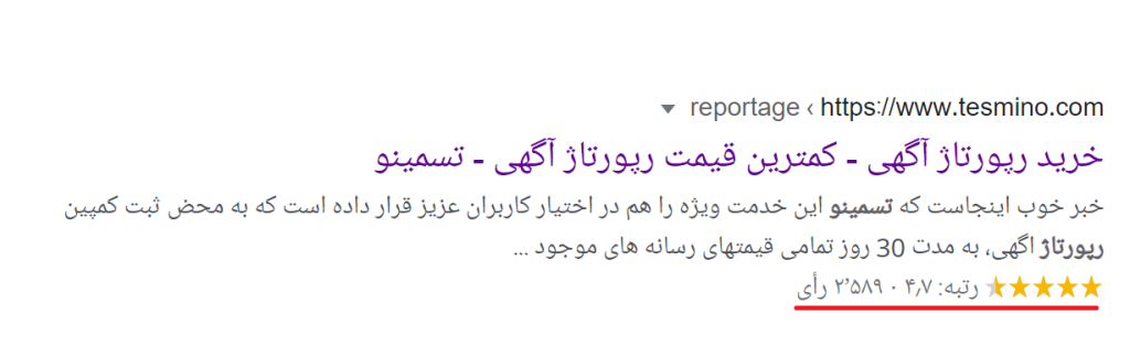 Rich Snippets-ریچ اسنیپت