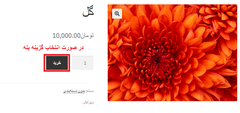 buy buttom- دکمه خرید