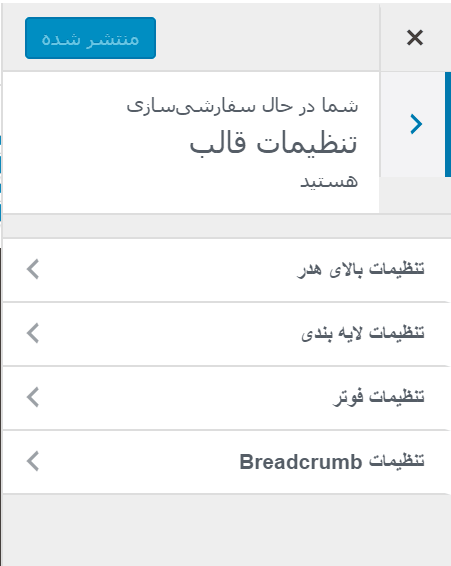 theme setting- قالب وردپرس فروشگاهی X-store