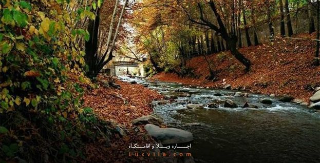 طبیعت پاییزی