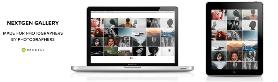 افزونه NextGEN Gallery
