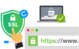 گواهینامه ssl چیست + انواع آن و تاثیر در سئو