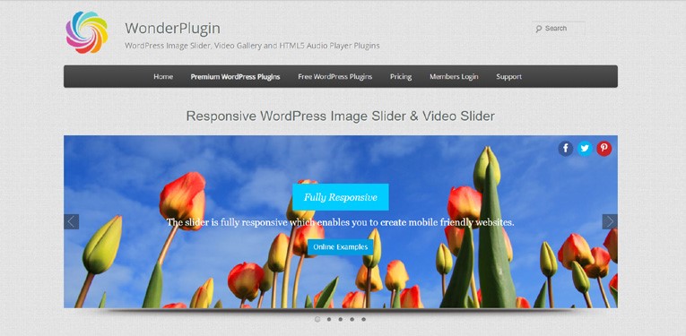 WonderPlugin WordPress Slider