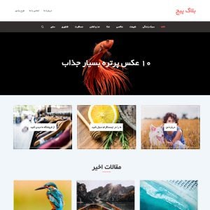 قالب وردپرس Blog Page