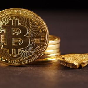 ارز دیجیتال چیست + آموزش خرید ارز دیجیتال