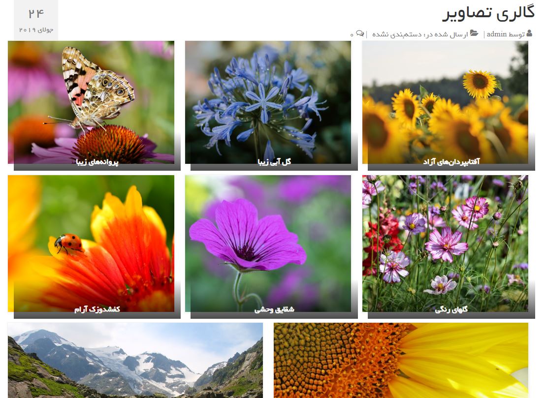 نتیجه عملکرد گالری با گوتنبرگ