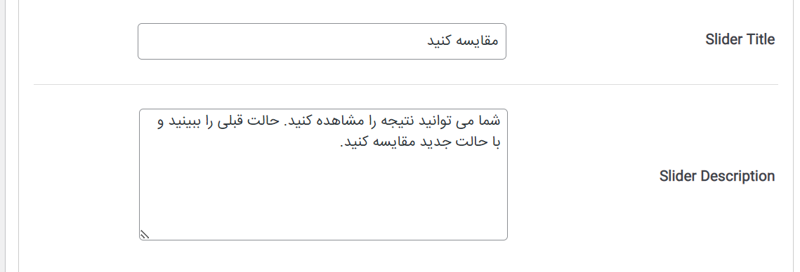 توضیحات تکمیلی تصویر 