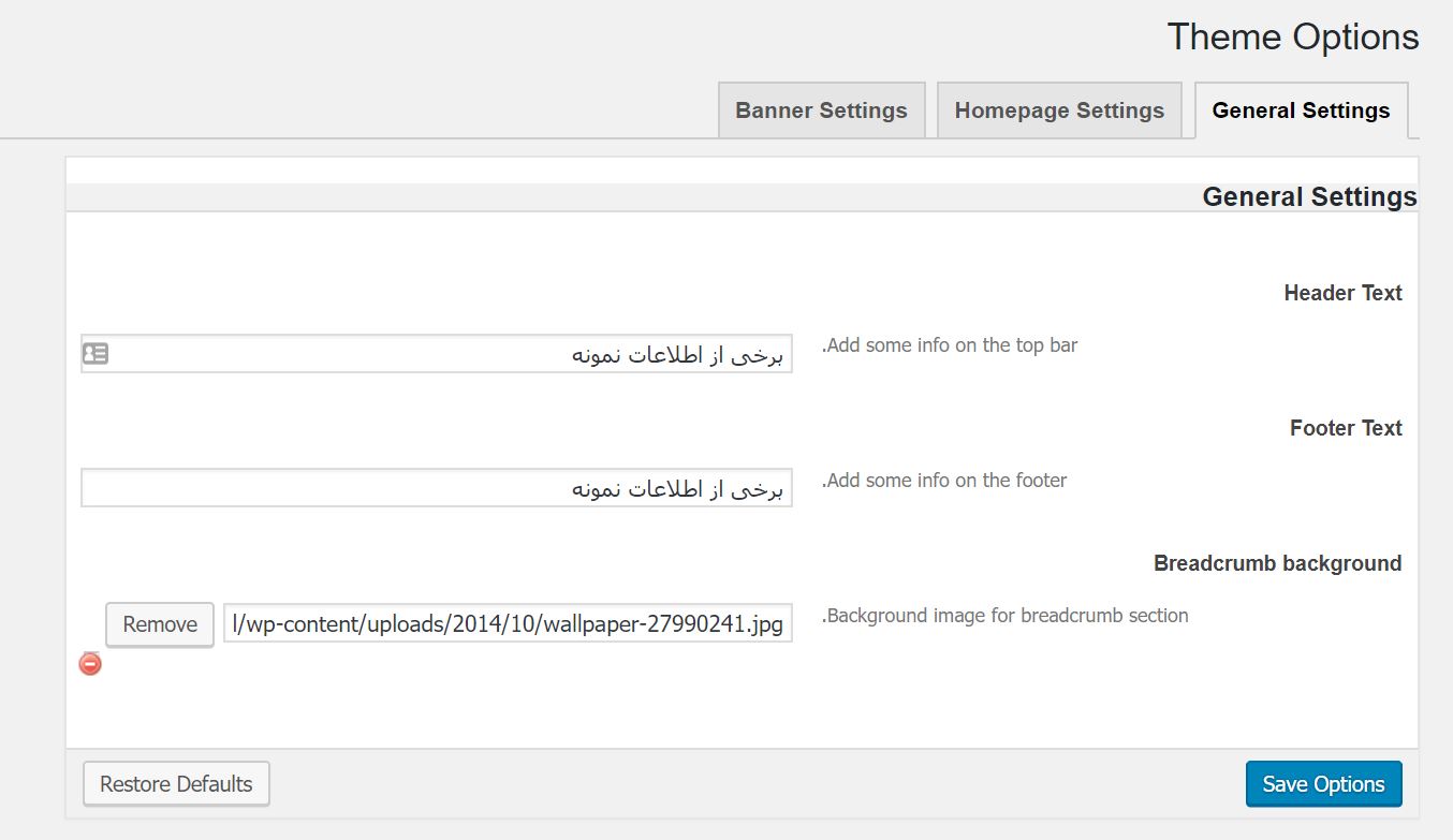 theme option- پوسته وردپرس Cartel