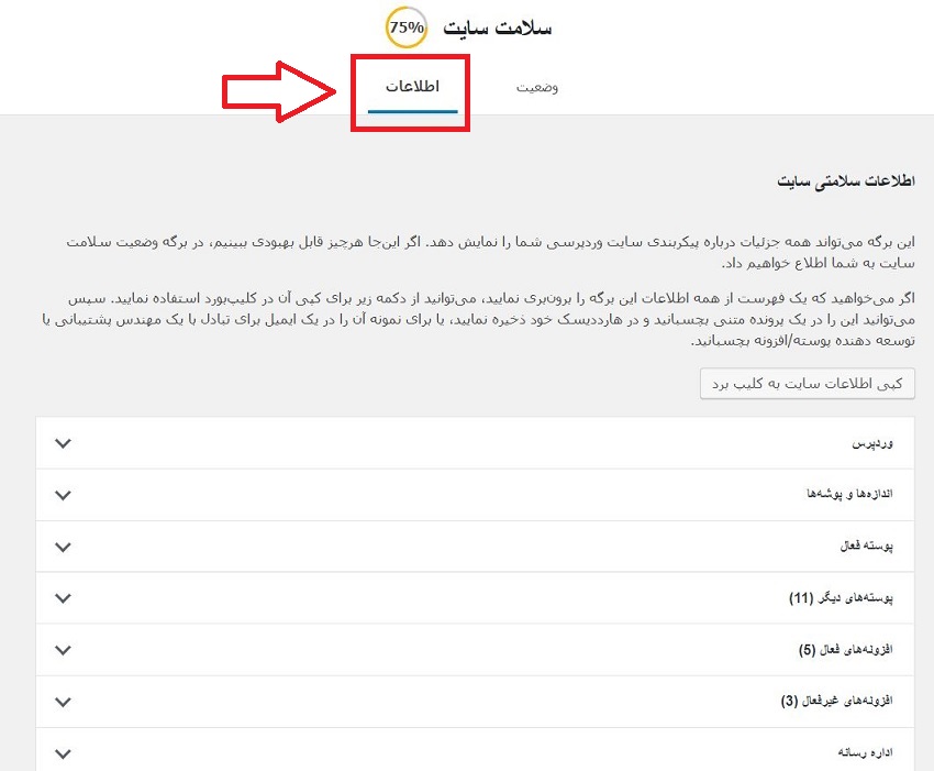 اطلاعات دقیق از سالم سازی سایت