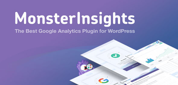 افزونه MonsterInsights 